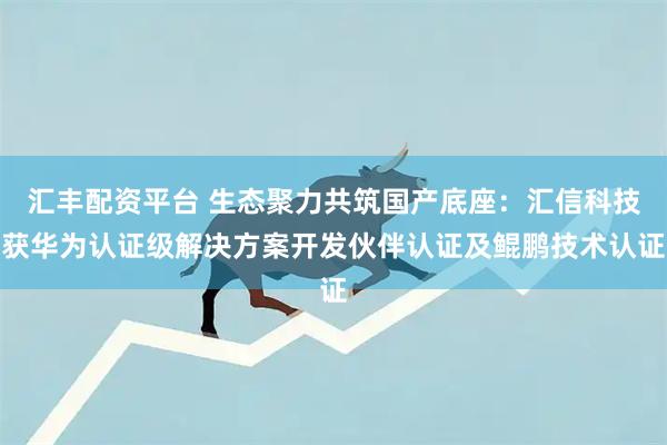 汇丰配资平台 生态聚力共筑国产底座：汇信科技获华为认证级解决方案开发伙伴认证及鲲鹏技术认证