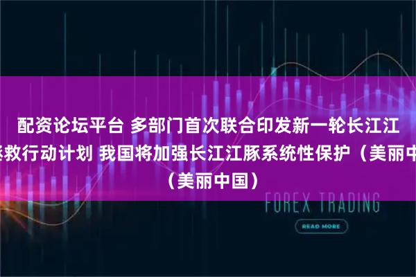 配资论坛平台 多部门首次联合印发新一轮长江江豚拯救行动计划 我国将加强长江江豚系统性保护（美丽中国）