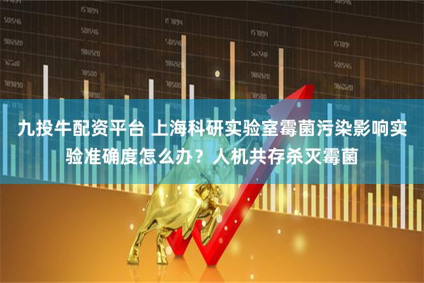 九投牛配资平台 上海科研实验室霉菌污染影响实验准确度怎么办？人机共存杀灭霉菌